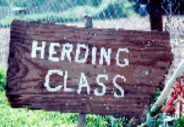 sign.JPG (12607 bytes)