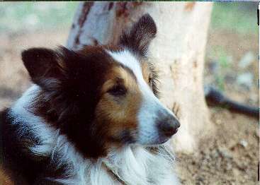 Easyport.JPG (14282 bytes)