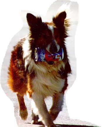 Easysoda.JPG (23681 bytes)