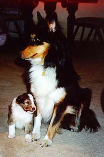 efam.JPG (9489 bytes)