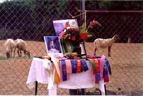 memorial.JPG (35521 bytes)