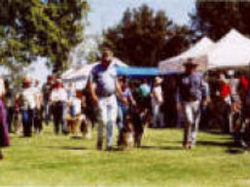 parade2.JPG (80719 bytes)